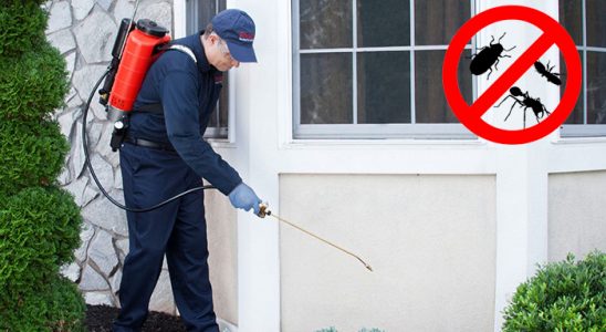 Atabey Fare İlaçlama böcek ilaçlama ve haşere kontrolü — ilaclama-tr.com